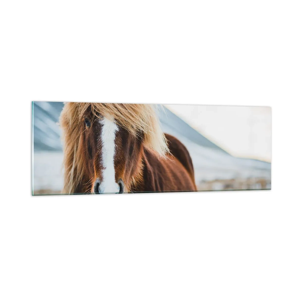 Obraz na skle - Cítíš svobodu? - 90x30 cm