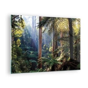 Obraz na skle - Zelený tropický les se slunečními paprsky - 70x50cm - Povídka lesa - Moderní nástěnná dekorace do obývacího pokoje a ložnice ARTTOR