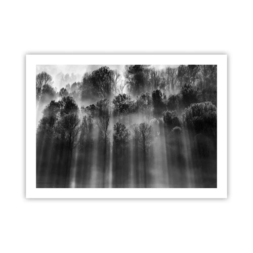 Plakát - V paprscích světla - 70x50 cm