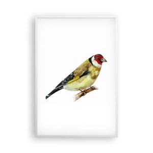 Plakát v bílém rámu - Ptáčí portrét - 61x91 cm