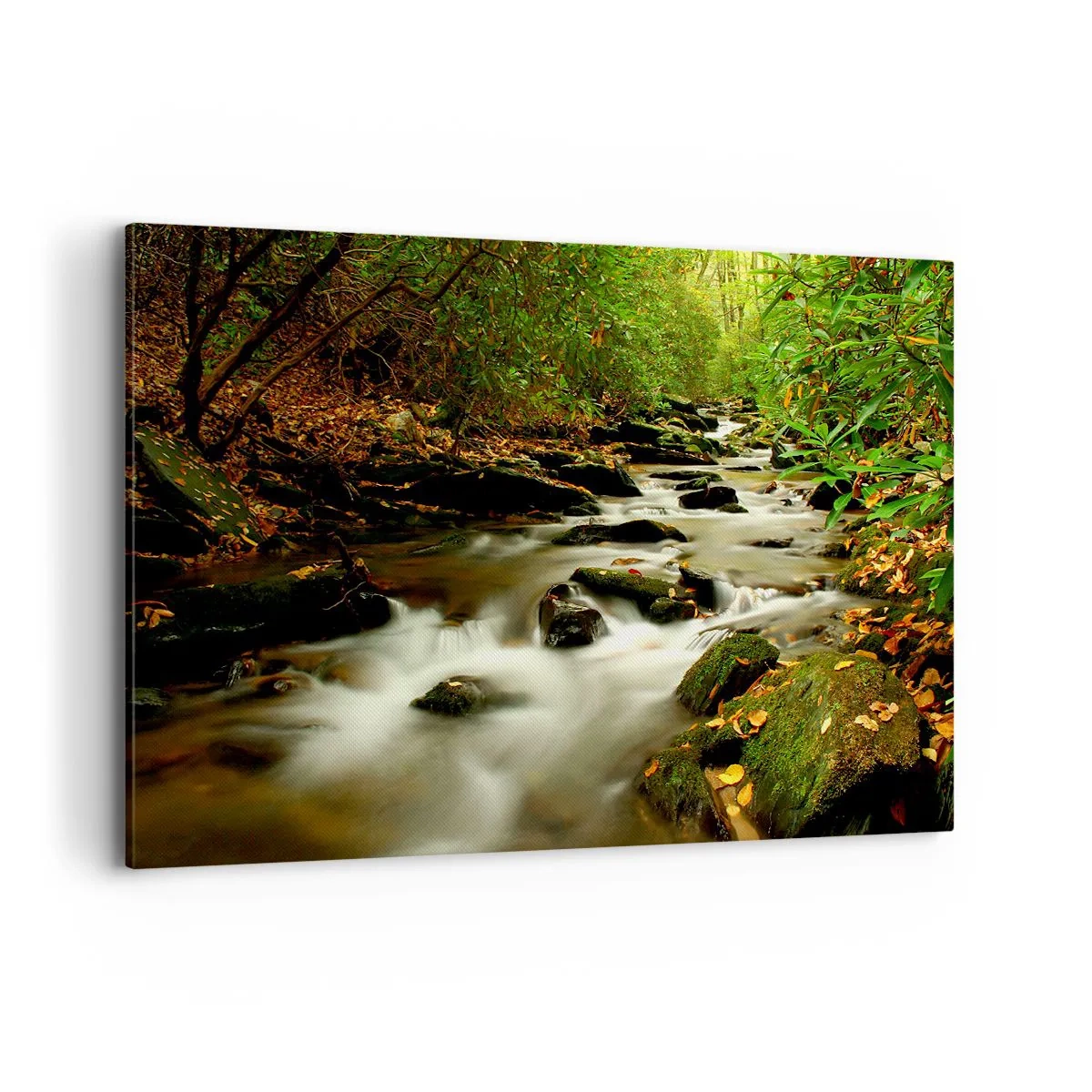 Obraz na plátně - Jako tekuté stříbro - 120x80 cm