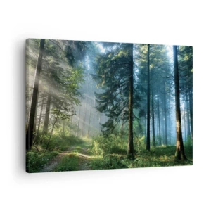 Obraz na plátně - Lesní cesta ozářená paprsky ranního slunce - 70x50cm - Zářící za úsvitu - Moderní nástěnná dekorace do obývacího pokoje a ložnice ARTTOR