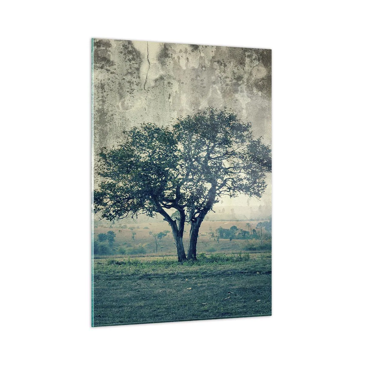 Obraz na skle - Jabloň na modrém poli? - 50x70 cm
