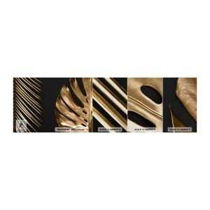 Vzor Fototapety Premium Sand - Jiné ale stejně drahé - Palmový list, List Monstera, Abstrakce - 100x30 cm