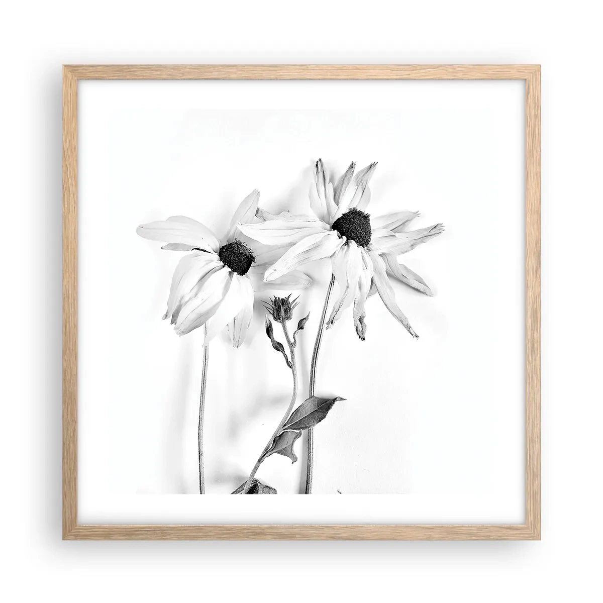 Plakát v rámu světlý dub - Nikdo nechce být sám - 50x50 cm