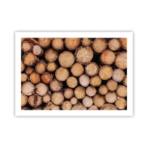 Plakát - Nový začátek - 70x50 cm