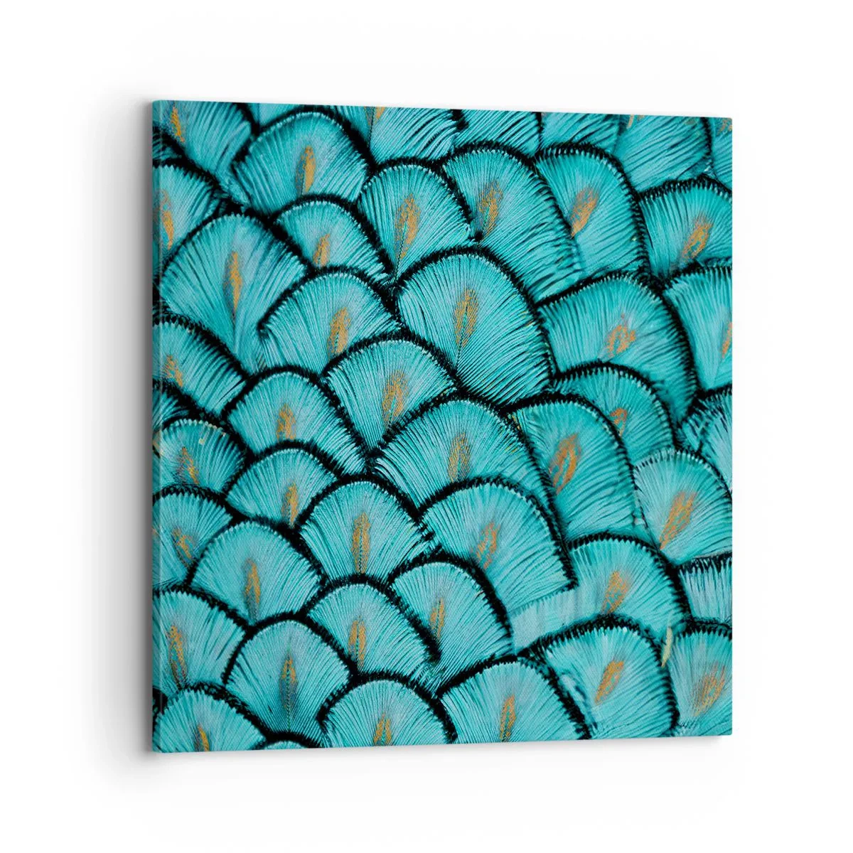 Obraz na plátně - Velká slavnost peří - 70x70 cm