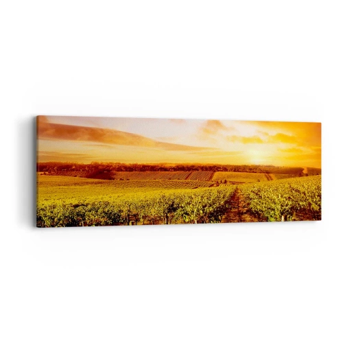 Obraz na plátně - Jemně ovocné s tónem slunce - 90x30 cm