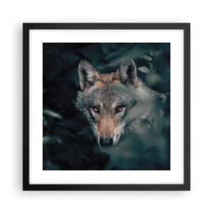 Plakát v černém rámu - Predátor - 40x40 cm