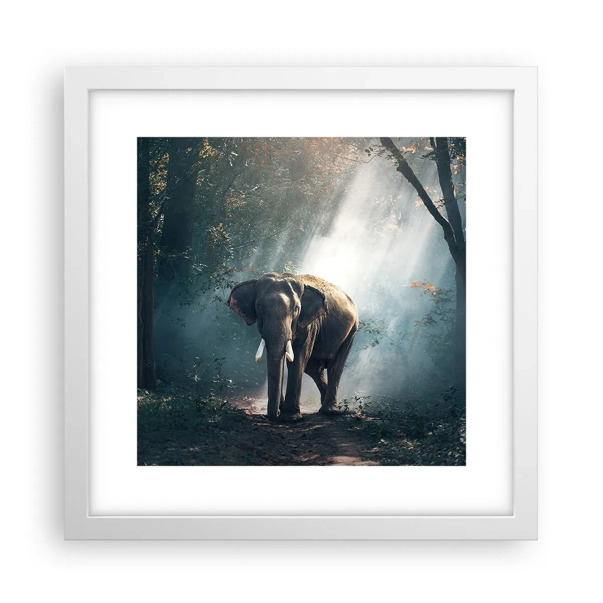 Plakát v bílém rámu - Klidná procházka - 30x30 cm