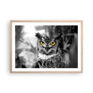 Plakát v rámu světlý dub - Nic se neschová - 70x50 cm