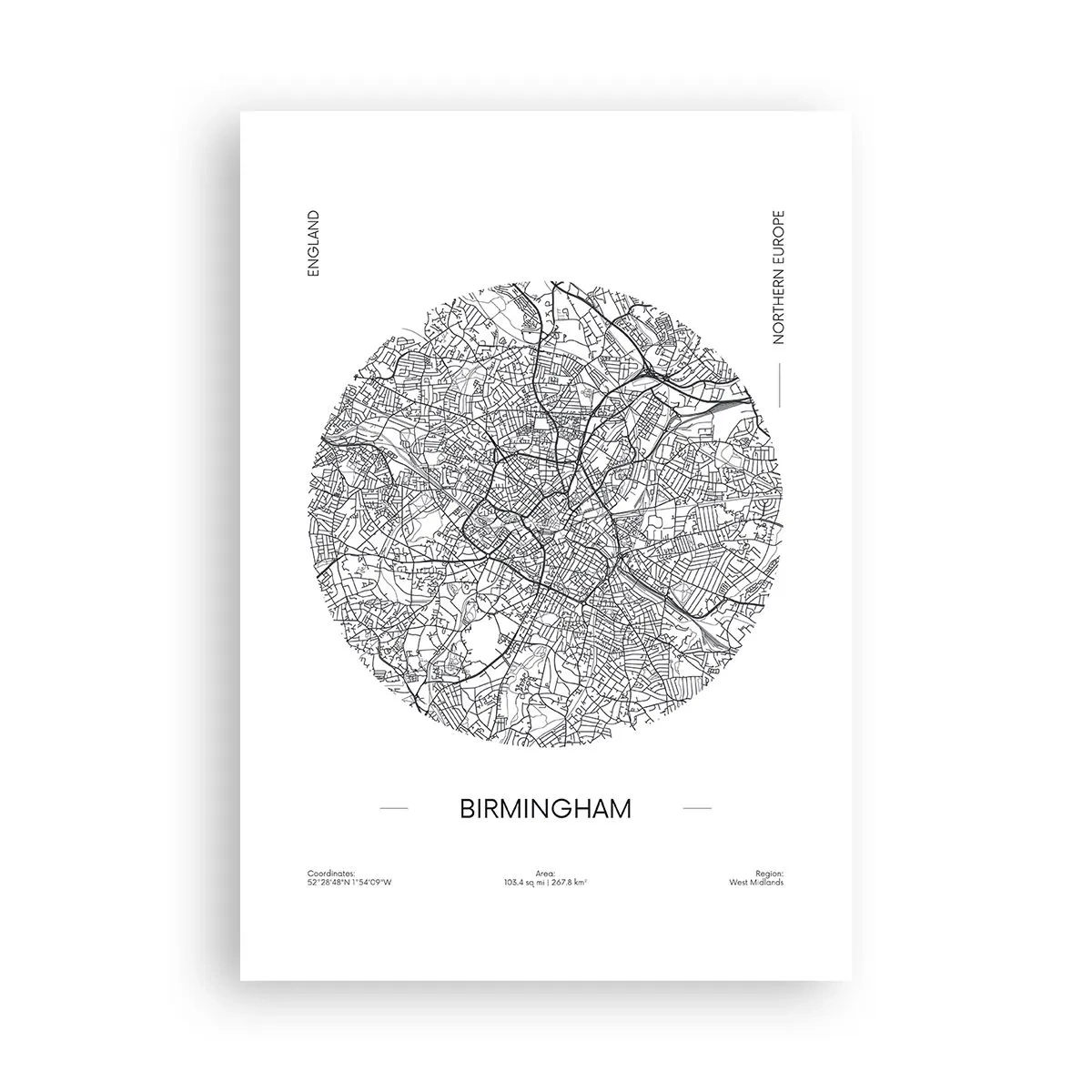 Plakát - Anatomie Birminghamu - 70x100 cm