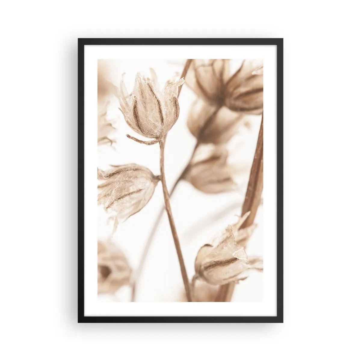 Plakát v černém rámu - Sušené rostliny v sépiové barvě na světlém pozadí - 50x70cm - Ozvěny konce léta - Moderní nástěnná dekorace do obývacího pokoje a ložnice ARTTOR
