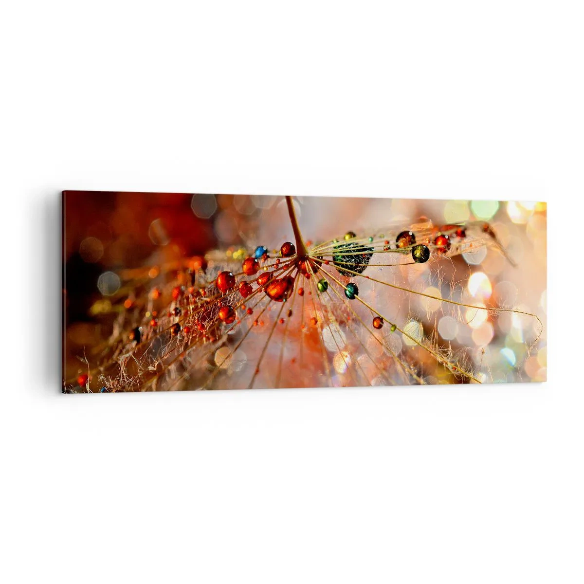 Obraz na plátně - Navlečeno na pavučinu - 140x50 cm