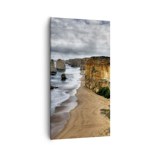 Obraz na plátně - Drsná krása - 55x100 cm