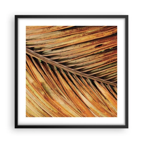 Plakát v černém rámu - Kokosové zlato - 50x50 cm