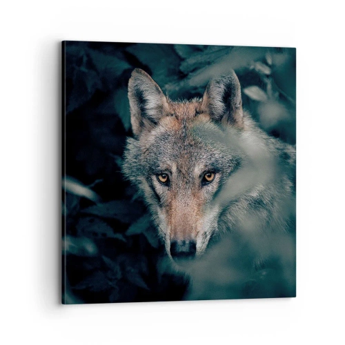 Obraz na plátně - Predátor - 70x70 cm