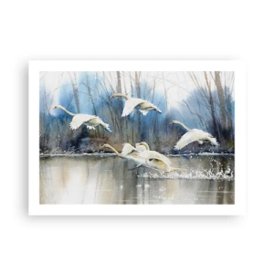 Plakát - Jako v povídce o divokých labutích - 70x50 cm