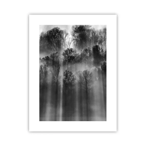 Plakát - V paprscích světla - 30x40 cm