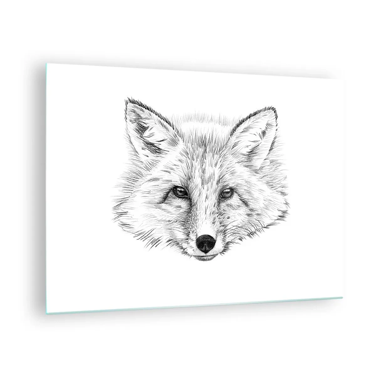 Obraz na skle - Kresba liščí hlavy na bílém pozadí - 70x50cm - Mohou tyto oči lhát? - Moderní nástěnná dekorace do obývacího pokoje a ložnice ARTTOR