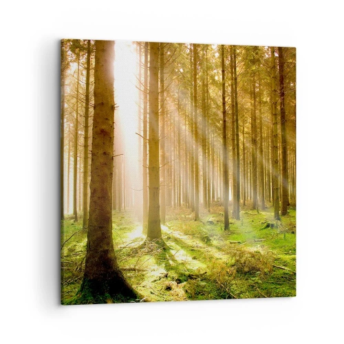 Obraz na plátně - Brzy se objeví elfové - 50x50 cm