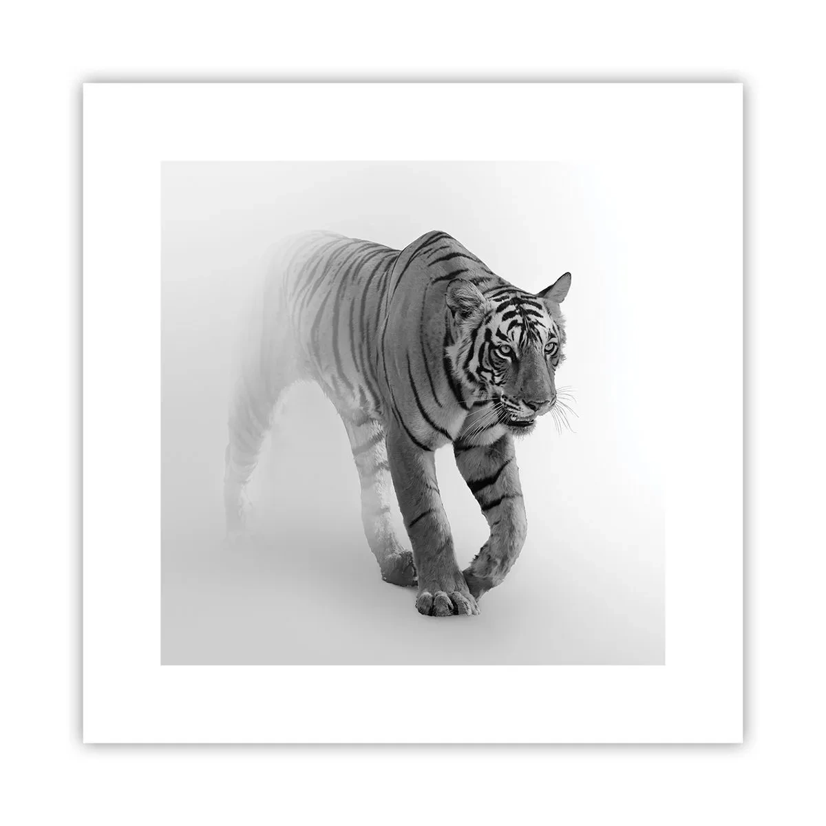 Plakát - Přikrčený v mlze - 30x30 cm