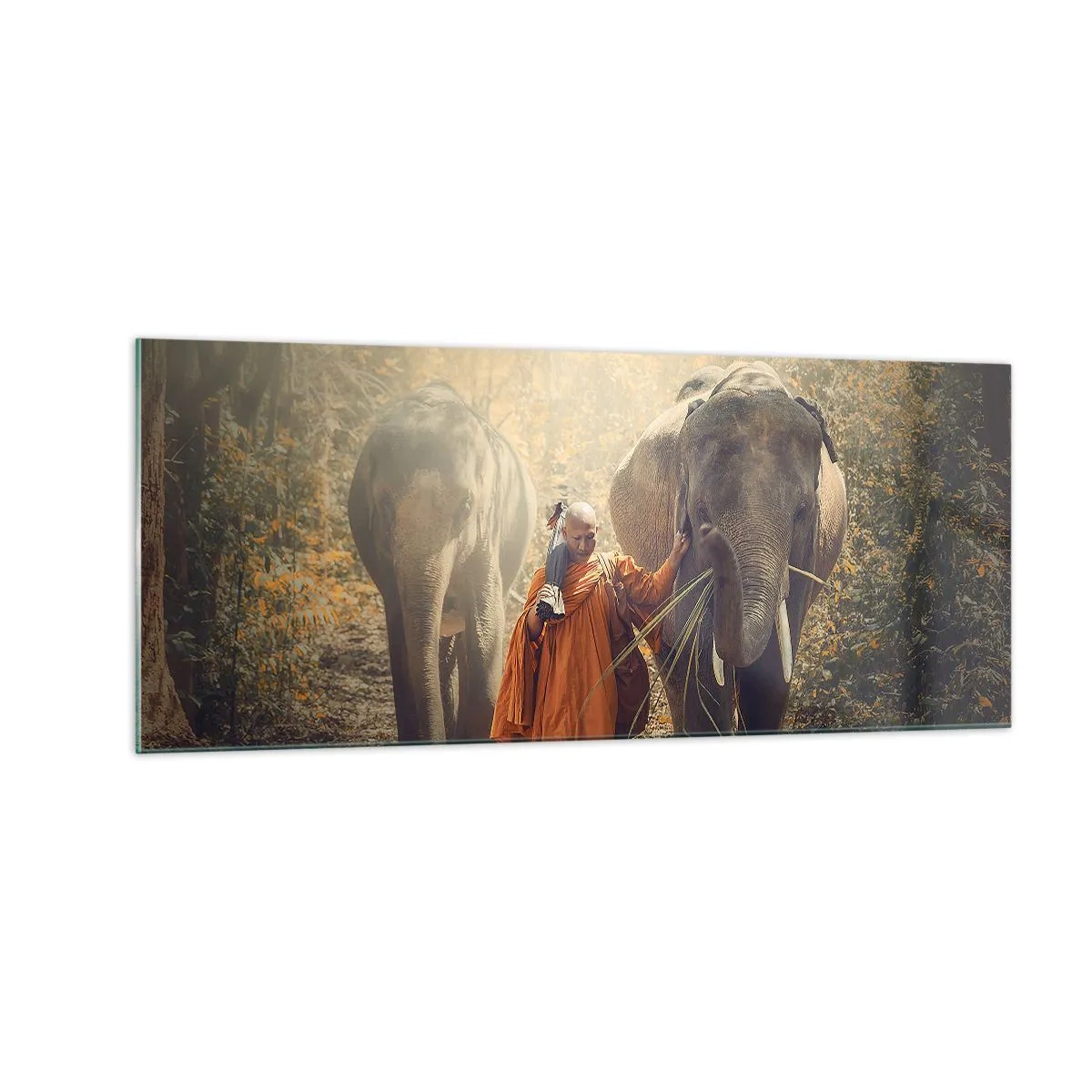 Obraz na skle - Plné pochopení - 100x40 cm