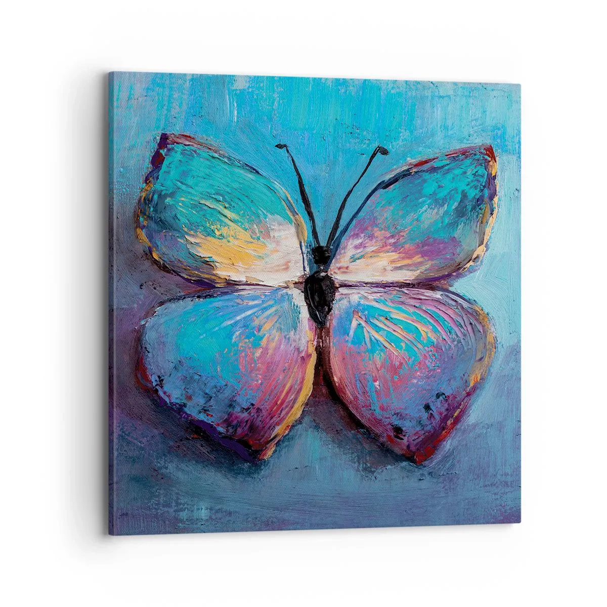 Obraz na plátně - V celé své kráse - 70x70 cm