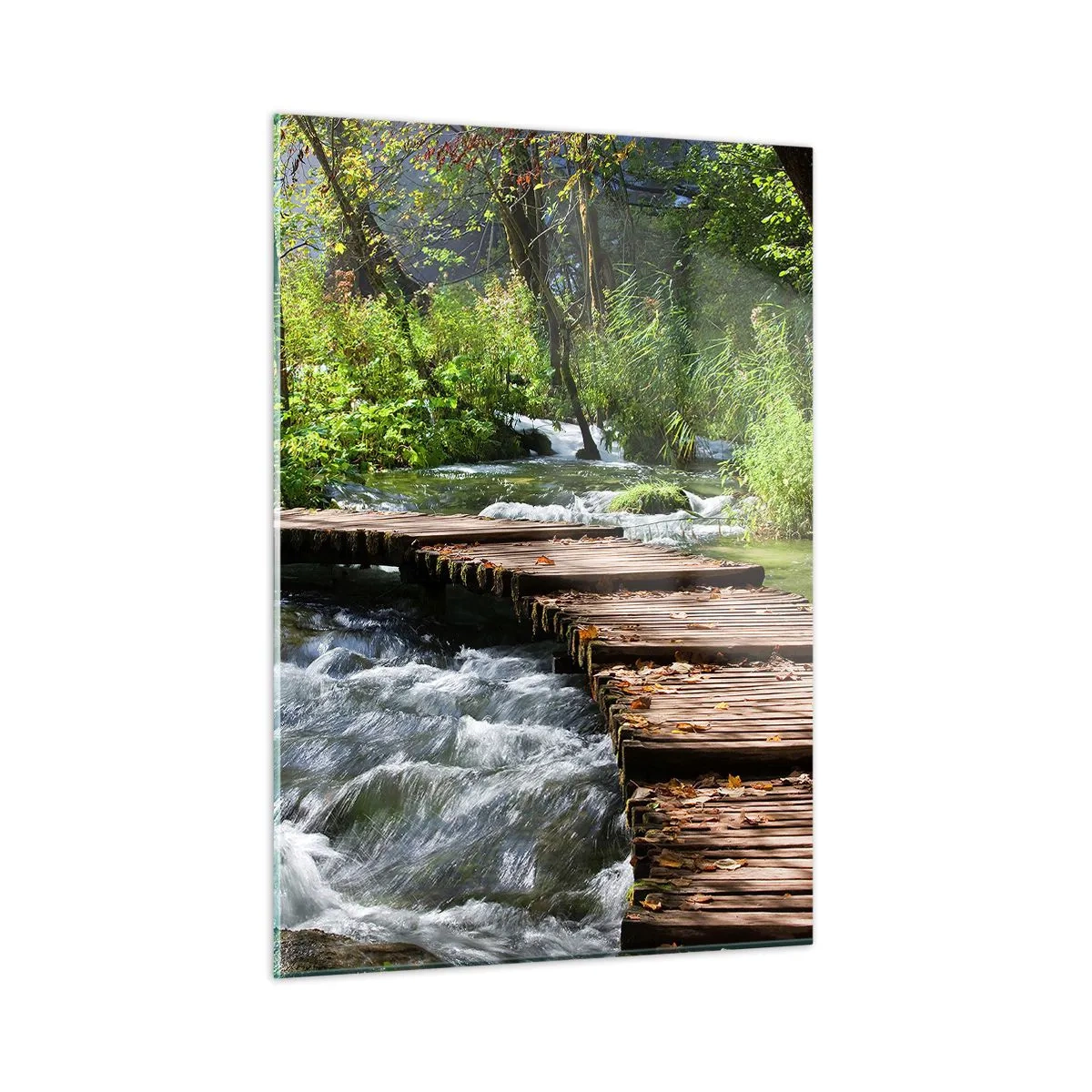 Obraz na skle - U zpěněného vodopádu - 50x70 cm