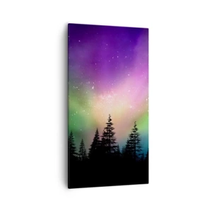 Obraz na plátně - Bílá magie - 55x100 cm