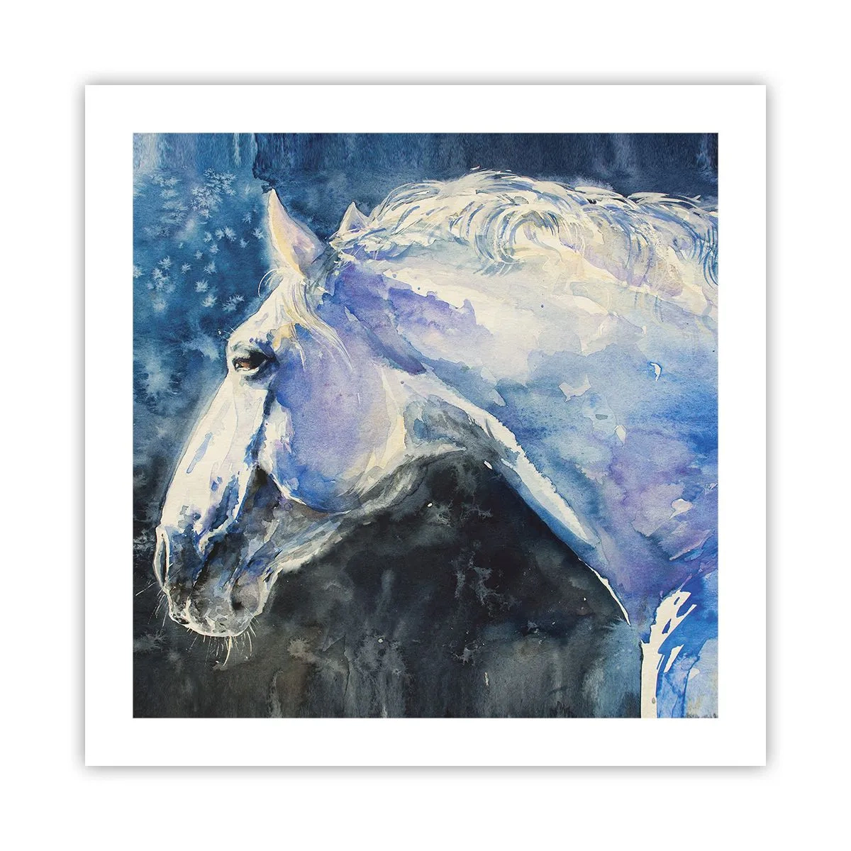 Plakát - Portrét v modré záři - 50x50 cm