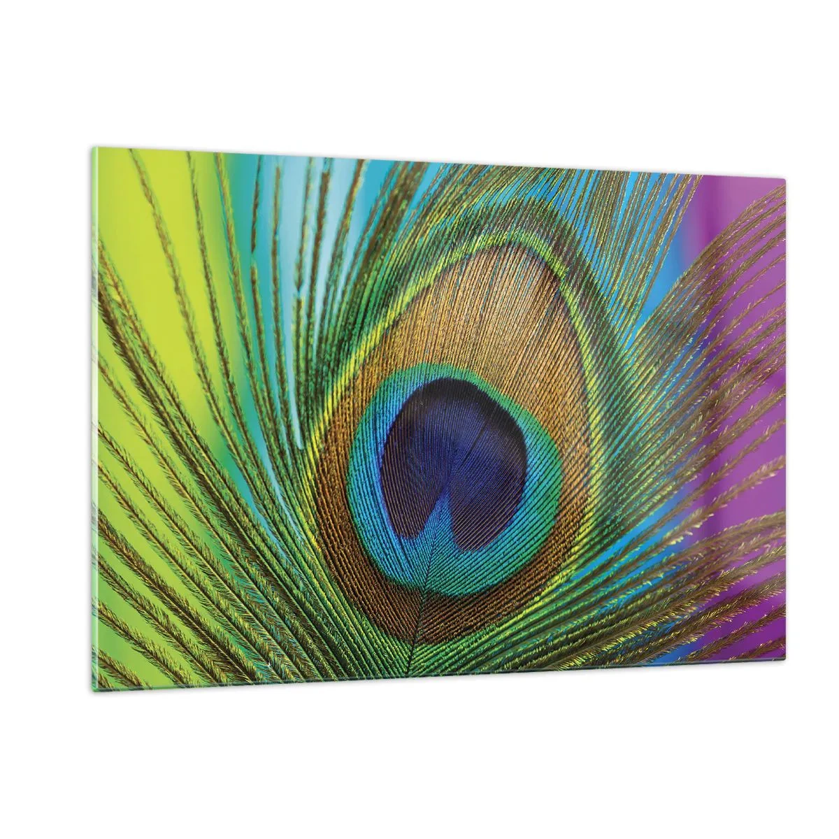 Obraz na skle - Tváří v tvář - 120x80 cm