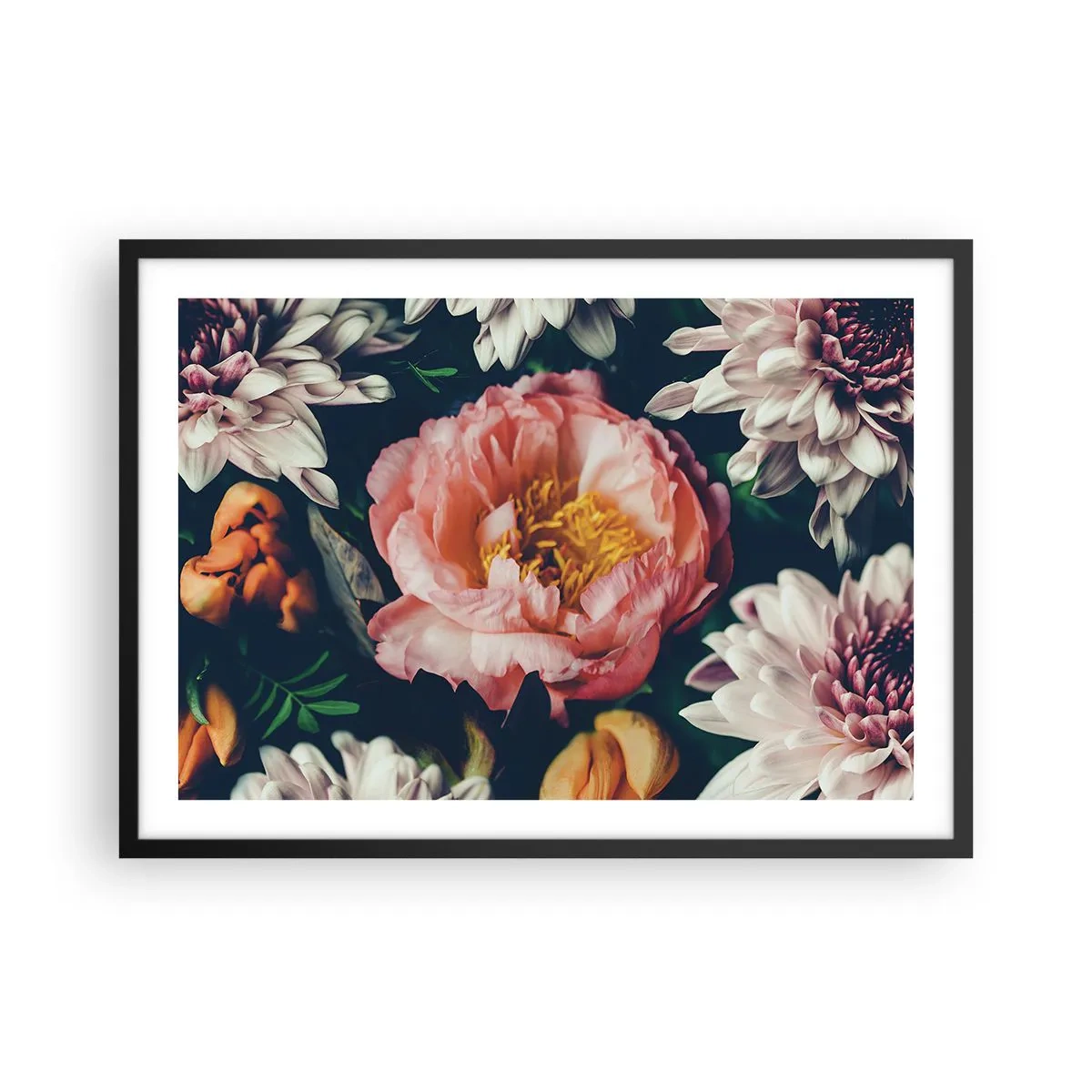Plakát v černém rámu - S barokním přepychem - 70x50 cm
