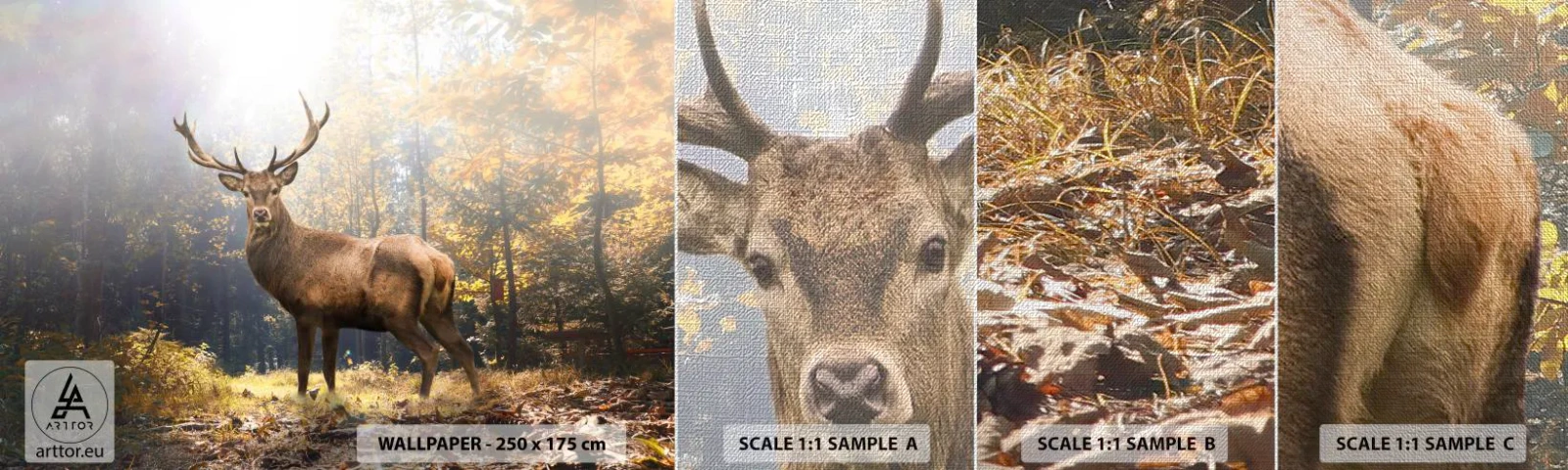 Vzor Fototapety Premium Canvas - Plné důstojnosti - Krajina, Jelen, Les - 100x30 cm