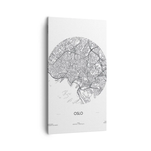 Obraz na plátně - Anatomie Osla - 45x80 cm