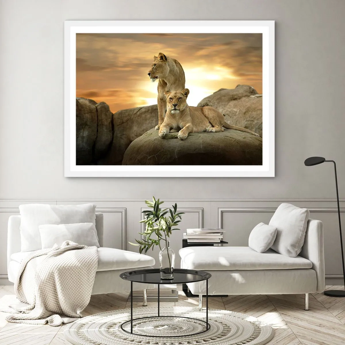 Plakát v bílém rámu - Královský majestát - 50x40 cm