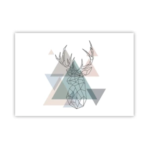 Plakát - V geometrickém lese - 100x70 cm
