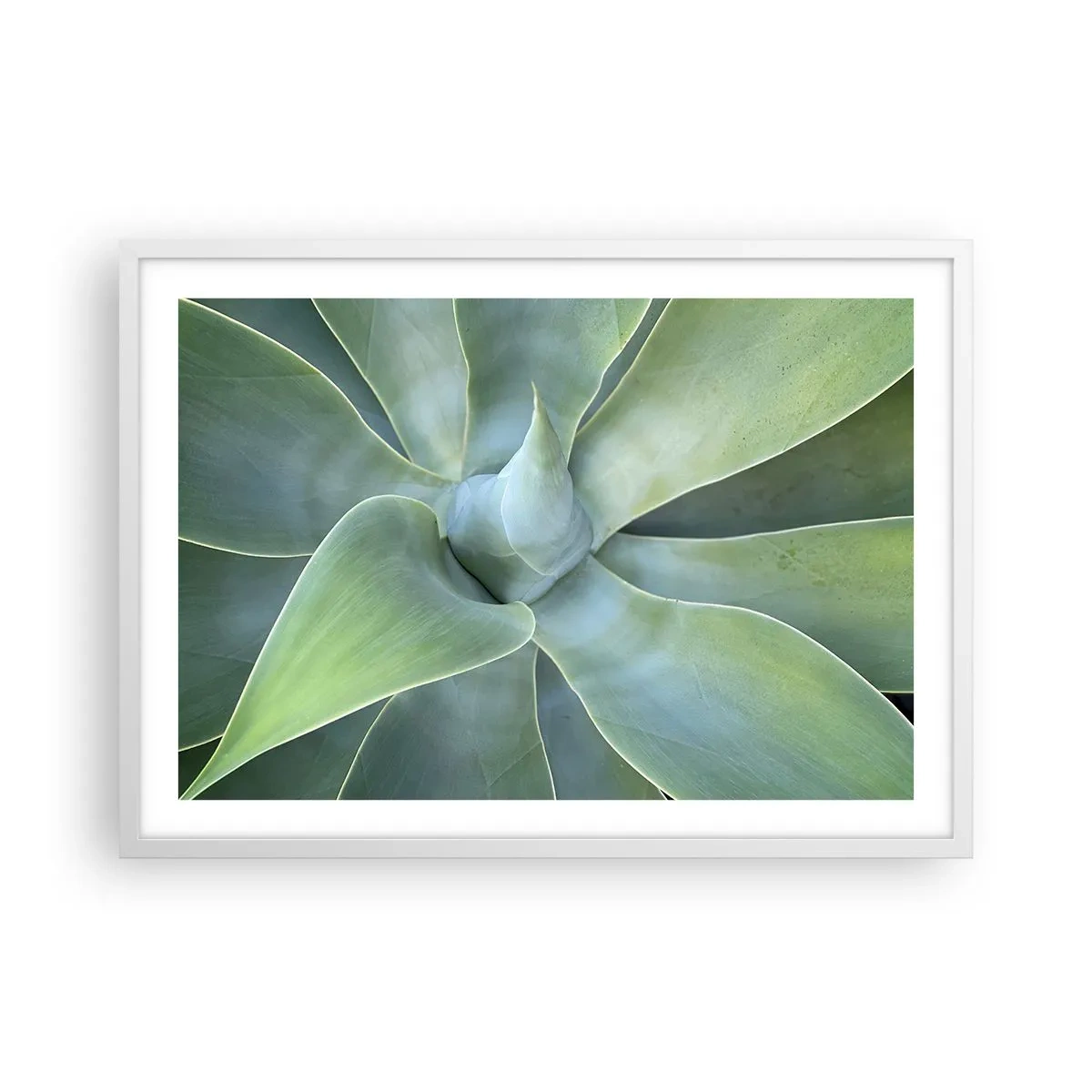Plakát v bílém rámu - Zrození zeleně - 70x50 cm