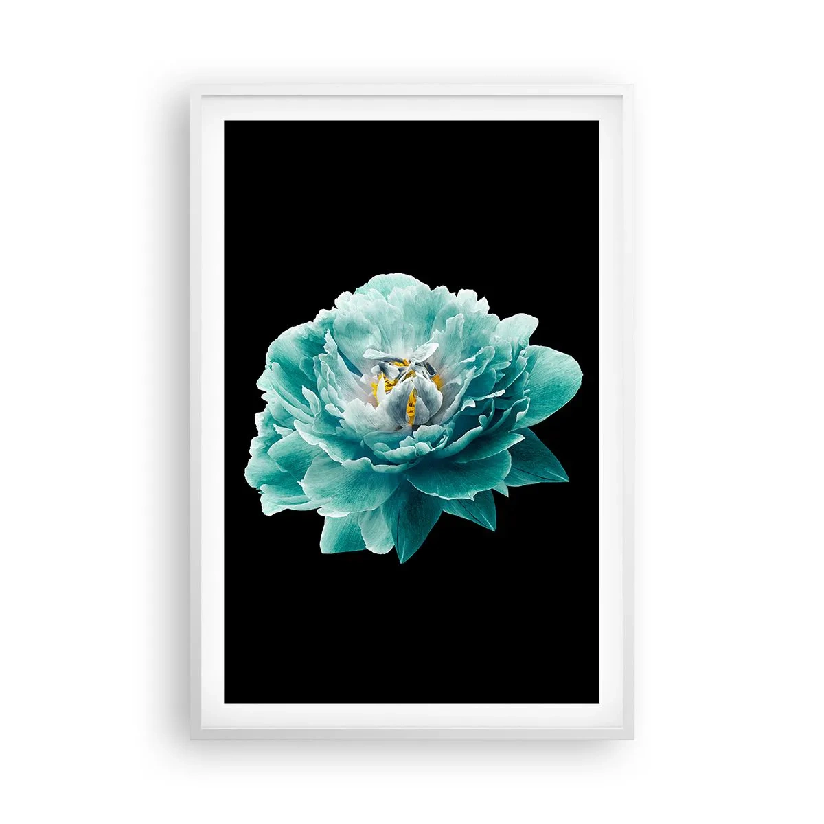 Plakát v bílém rámu - Modré a zlaté okvětní lístky - 61x91 cm