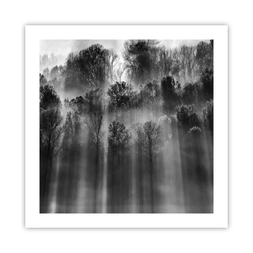 Plakát - V paprscích světla - 50x50 cm