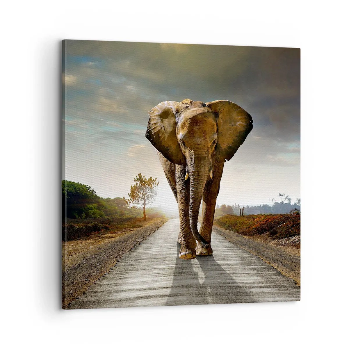 Obraz na plátně - A vůbec ne ve skladu porcelánu - 60x60 cm