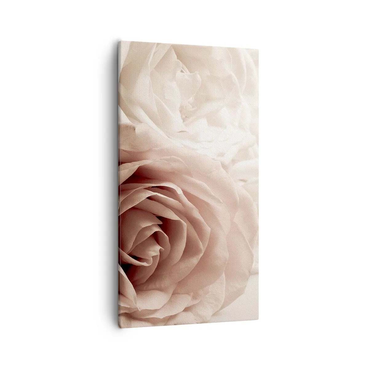 Obraz na plátně - V srdci růže - 55x100 cm