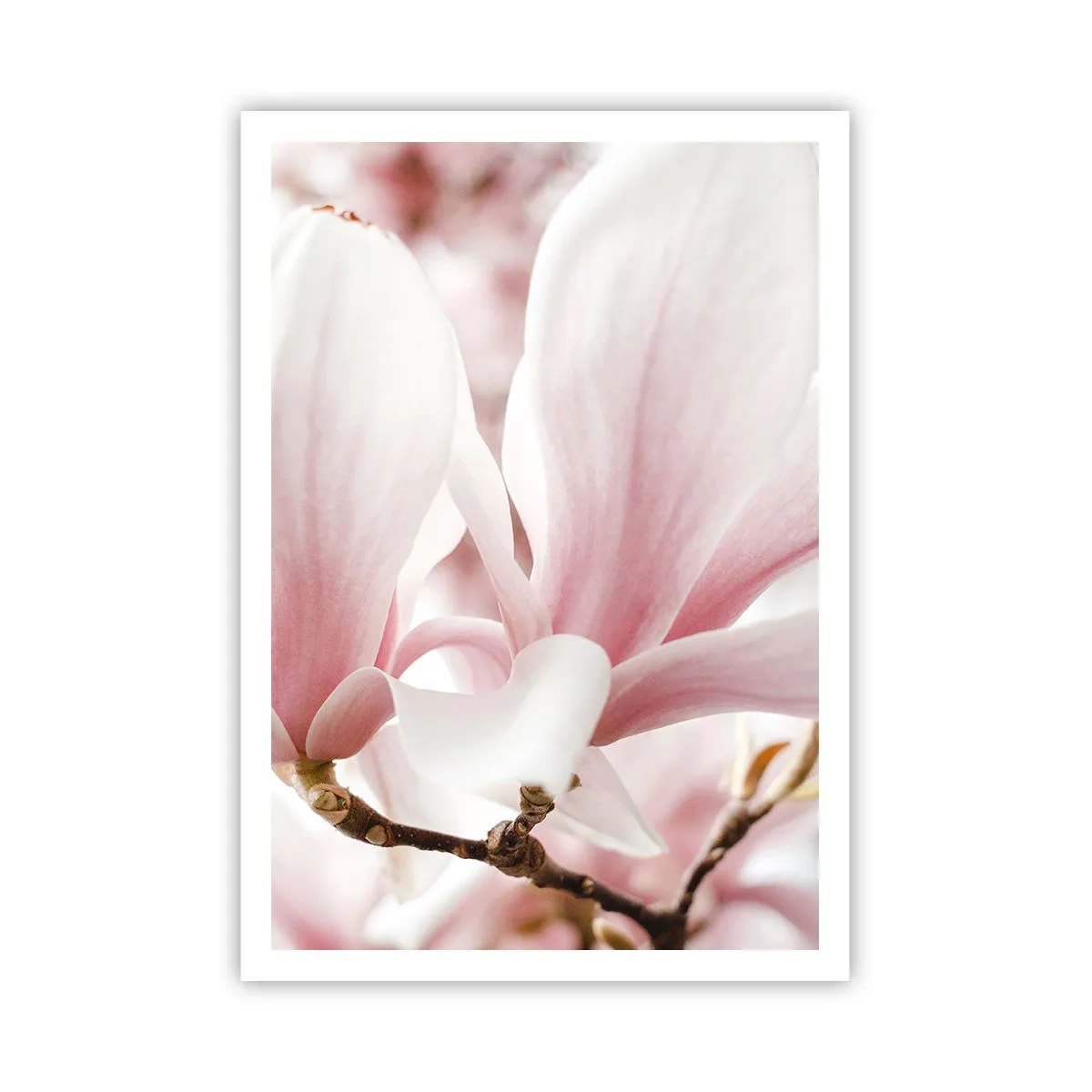 Plakát - Nesmírnost něžnosti - 70x100 cm