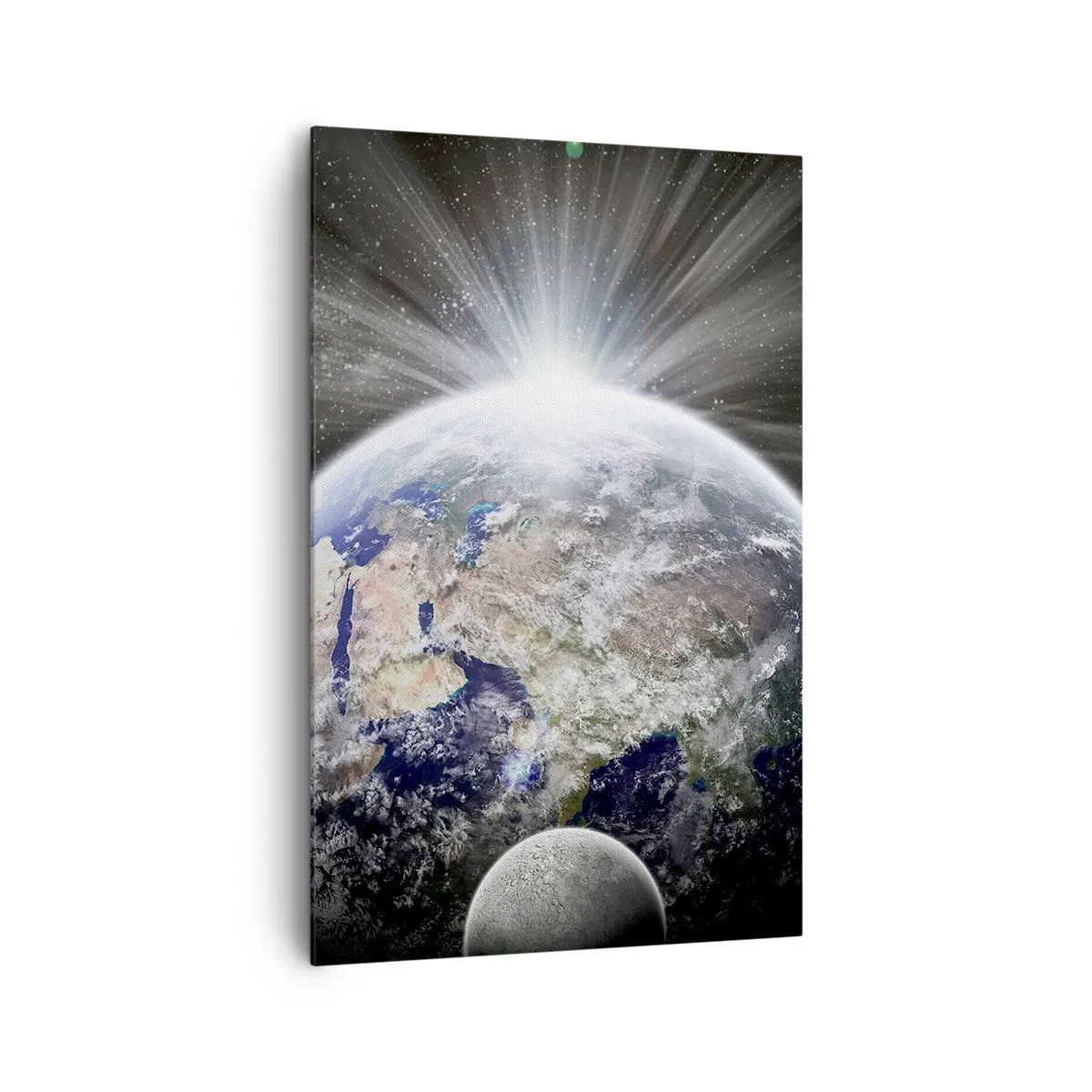 Obraz na plátně - V plném lesku - 80x120 cm