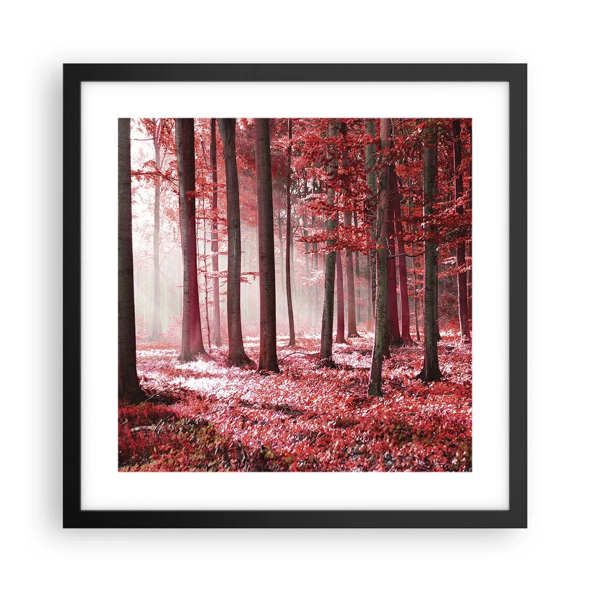 Plakát v černém rámu - Červená je stejně krásná - 40x40 cm