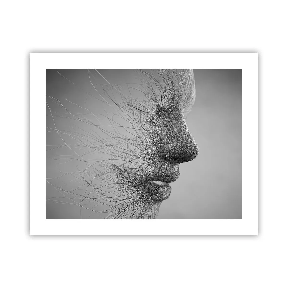 Plakát - Duch větru - 50x40 cm