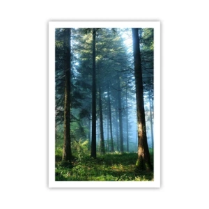 Plakát - Zářící za úsvitu - 61x91 cm