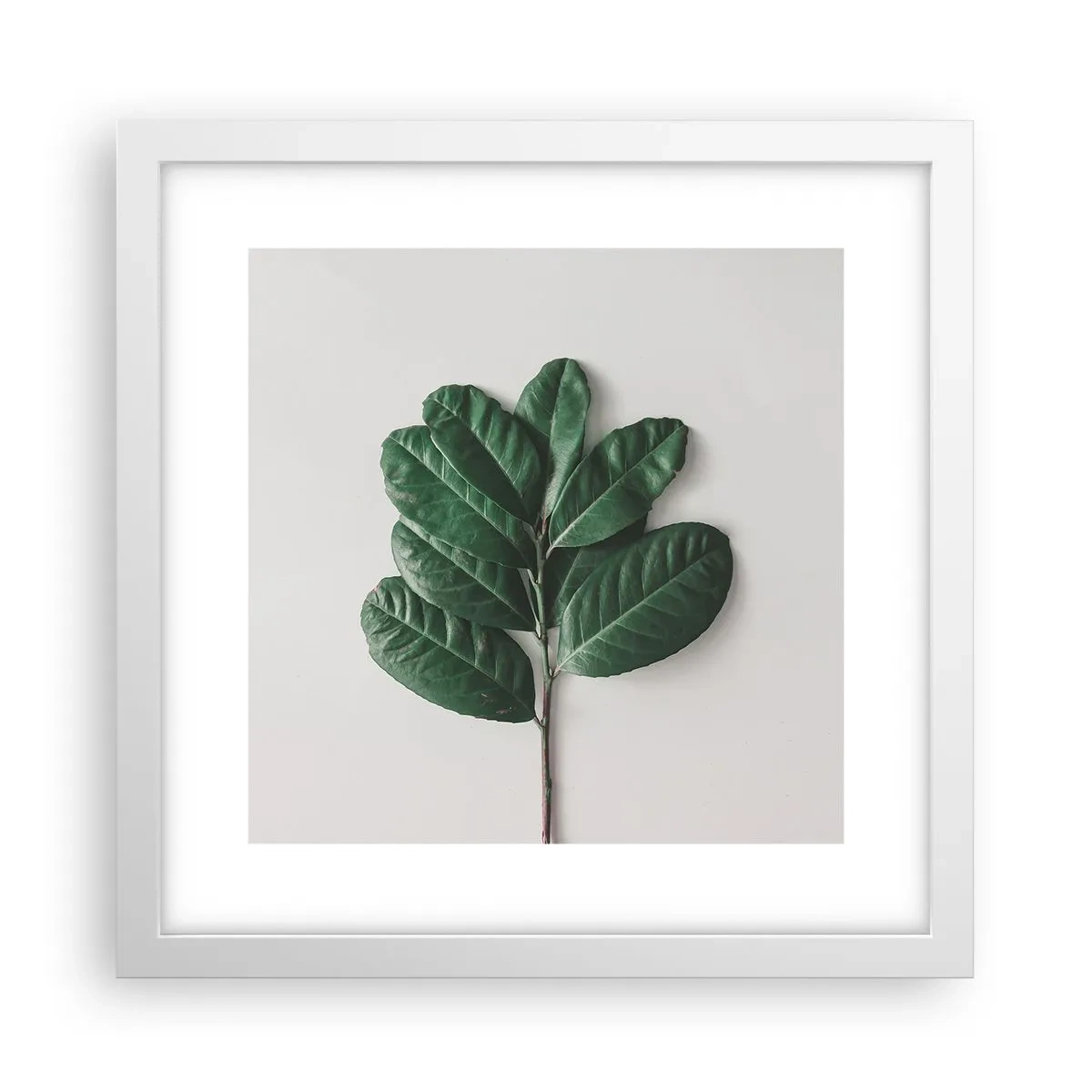 Plakát v bílém rámu - Kresba samotné přírody - 30x30 cm