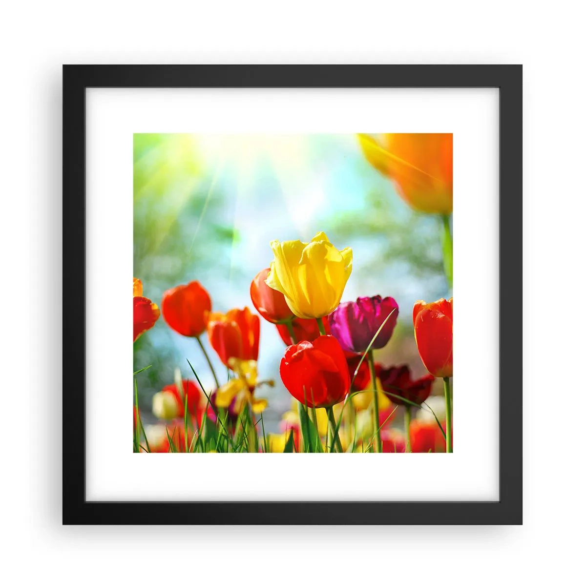 Plakát v černém rámu - Všechny barvy slunce - 30x30 cm