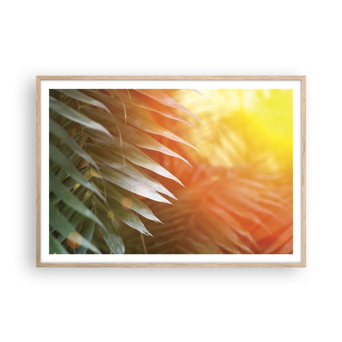 Plakát v rámu světlý dub - Ráno v džungli - 100x70 cm